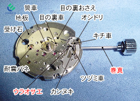 時計の構造（手巻時計） 機械文字板側　旧式 低年式 アンティーク ビンテージ オーバーホール リペア